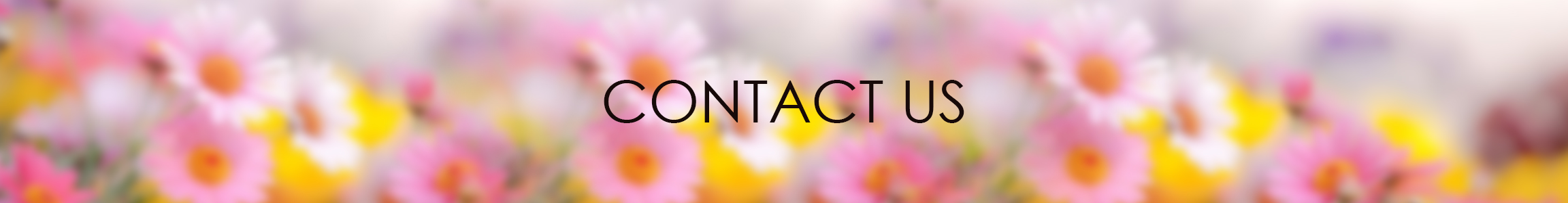 contact-us